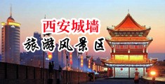 用鸡巴疯狂捅美女中国陕西-西安城墙旅游风景区